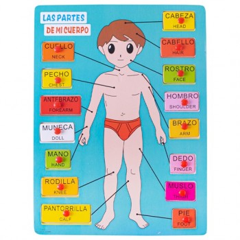 Encajable las partes de mi cuerpo (hombre) 2