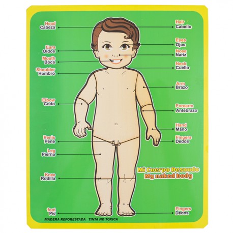 Encajable Mi cuerpo desnudo x 10 piezas - Español e Inglés