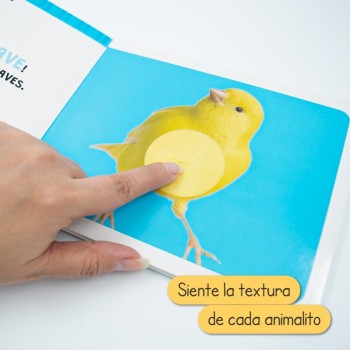Libro sensorial animales de la casa 2