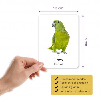 Flashcards animales domésticos - Imágenes reales, bilingüe 2