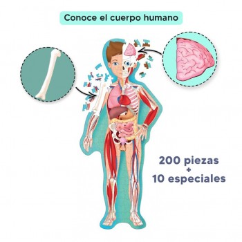 Puzle el cuerpo humano 2