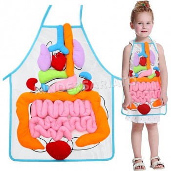 Delantal de órganos 3D - Anatomía, cuerpo humano