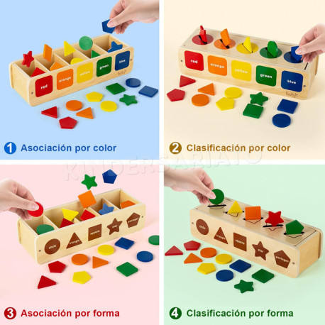 Montessori Caja de Clasificación de Colores