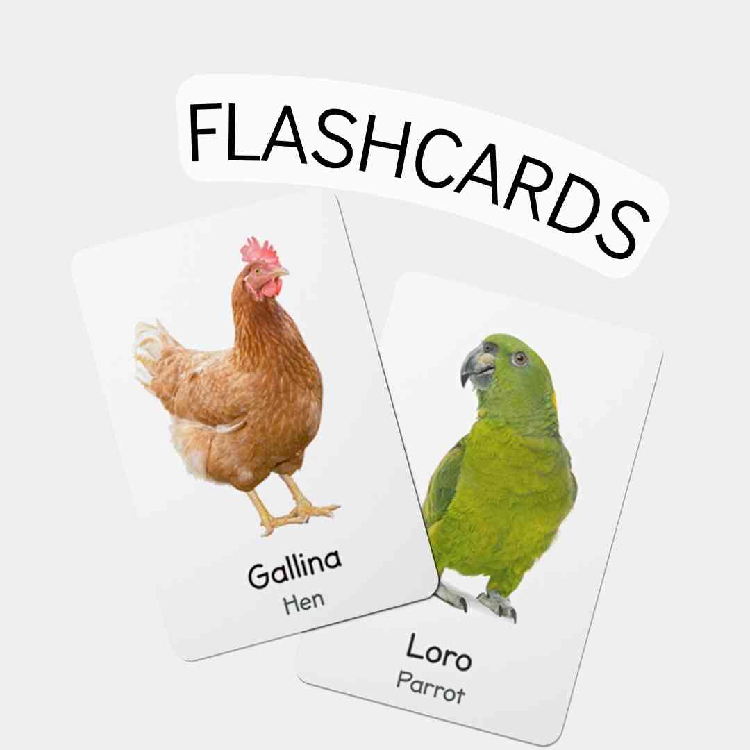 Flashcards