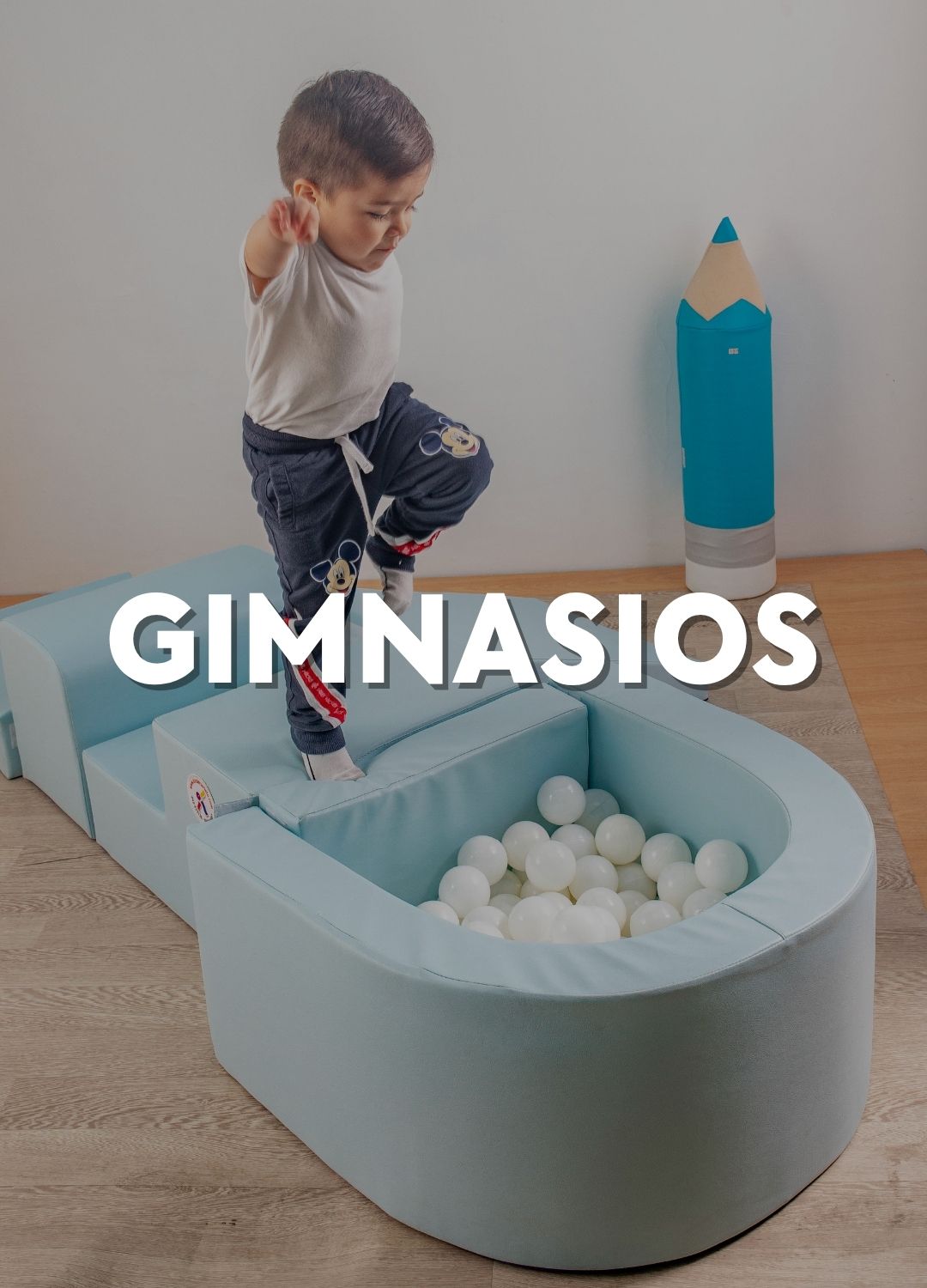 Gimnasios ludicos