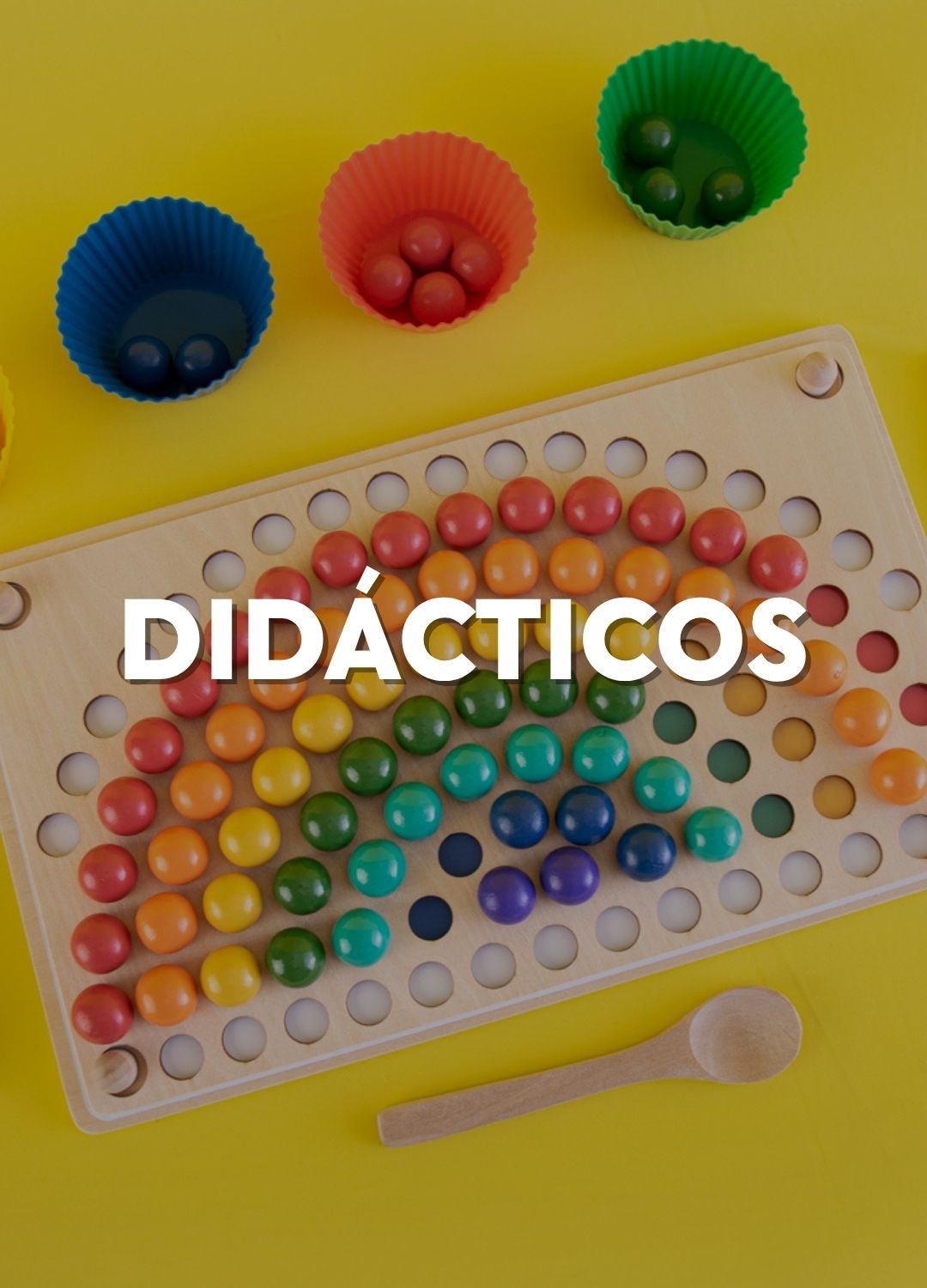 didacticos