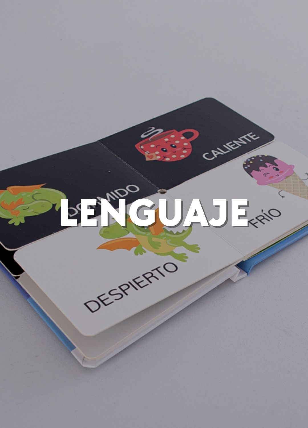 Lenguaje