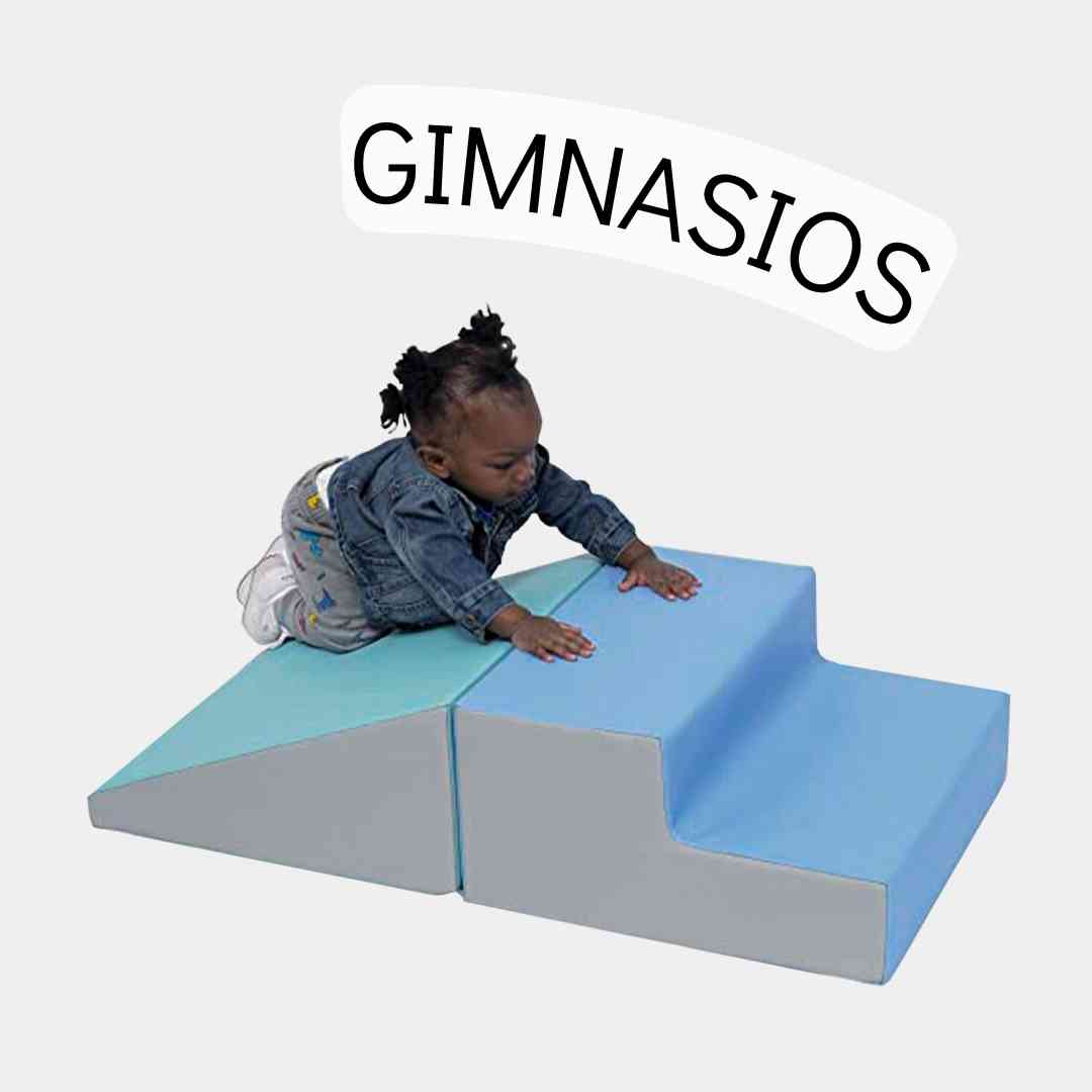 Gimnasios ludicos