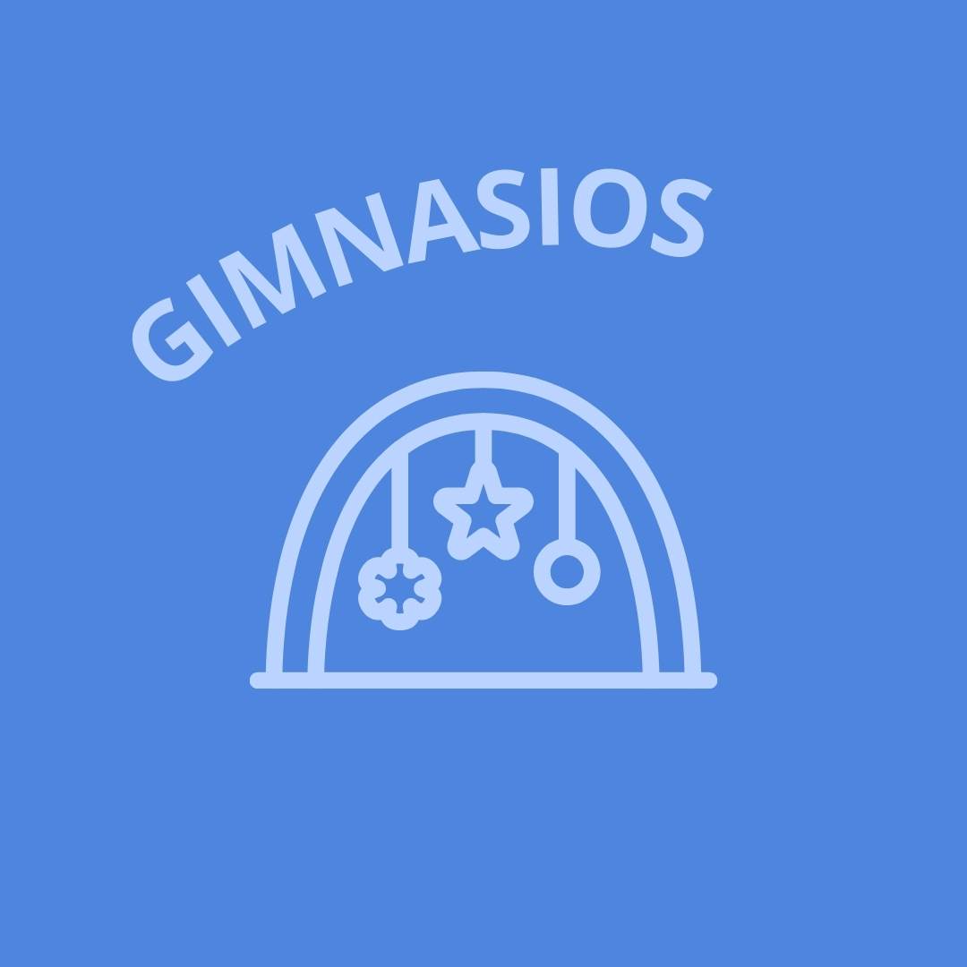 Gimnasios ludicos